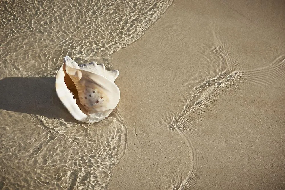 Atlantic Garden Beach Mate Διαμέρισμα Κοραλέχο 0*,